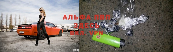 spice Горняк
