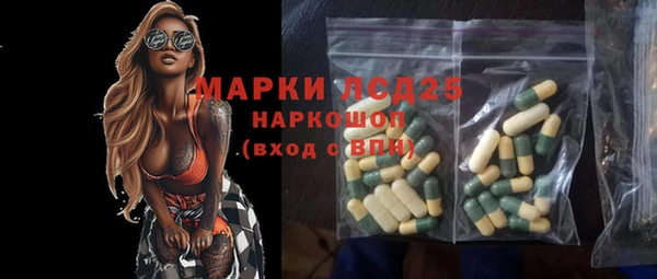 spice Горняк