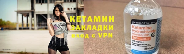 шишки Тавда