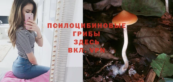 spice Горняк