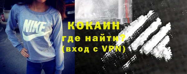 шишки Горно-Алтайск