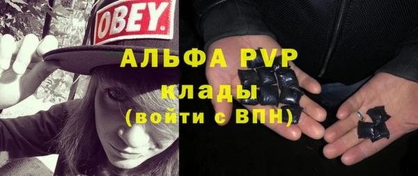 шишки Горно-Алтайск