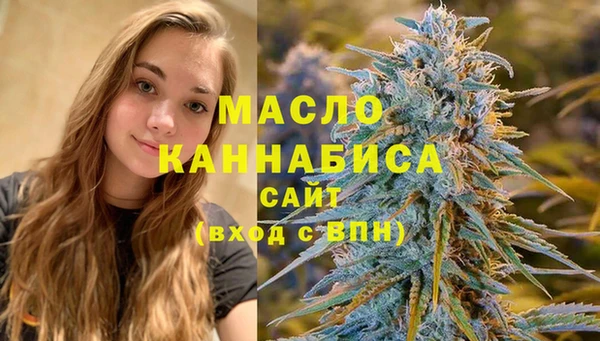 шишки Горно-Алтайск