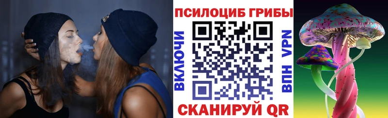 Псилоцибиновые грибы прущие грибы  где купить наркоту  Меленки 